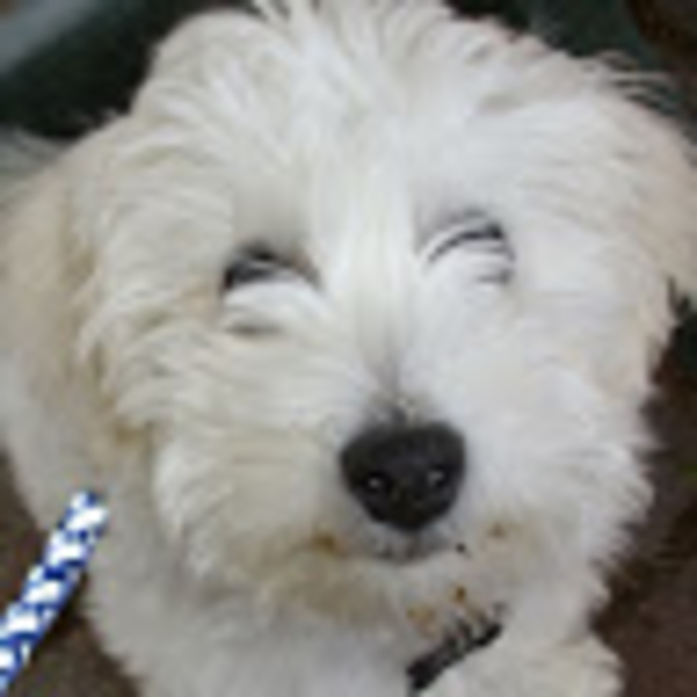 Meet your Posher, Nerina